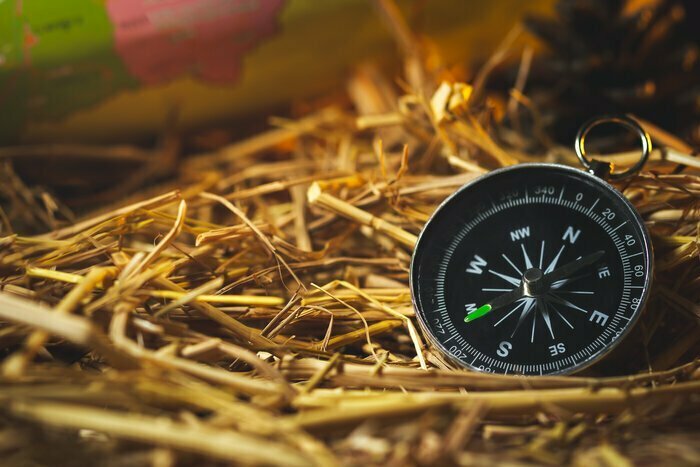 Compass,with,paper,maps,and,pine,flowers,placed,on,dry